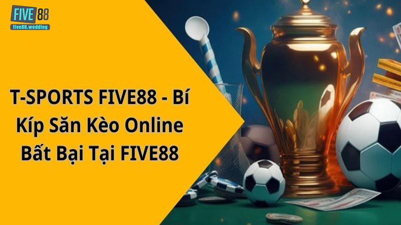 Các môn thể thao phổ biến tại T Sport