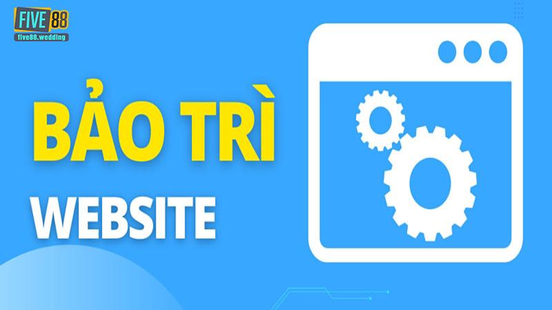 Lỗi hệ thống hoặc bảo trì website